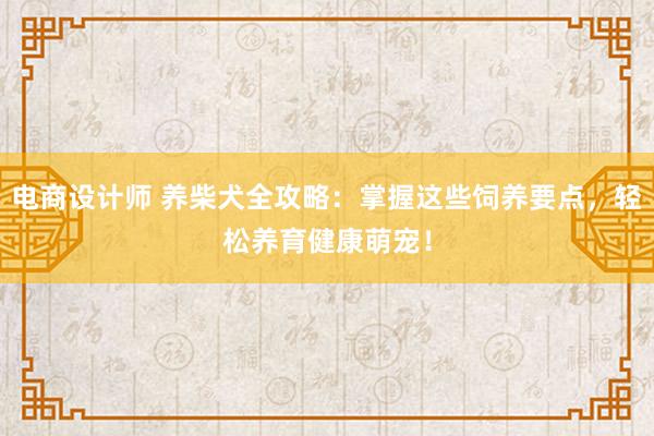 电商设计师 养柴犬全攻略：掌握这些饲养要点，轻松养育健康萌宠！