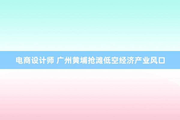 电商设计师 广州黄埔抢滩低空经济产业风口