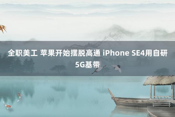 全职美工 苹果开始摆脱高通 iPhone SE4用自研5G基带