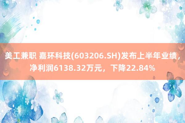 美工兼职 嘉环科技(603206.SH)发布上半年业绩，净利润6138.32万元，下降22.84%